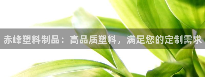 太阳成集团是什么