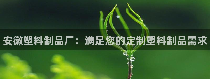 澳门太阳集团洗米华：安徽塑料制品厂：满足您的定制塑料制品需求