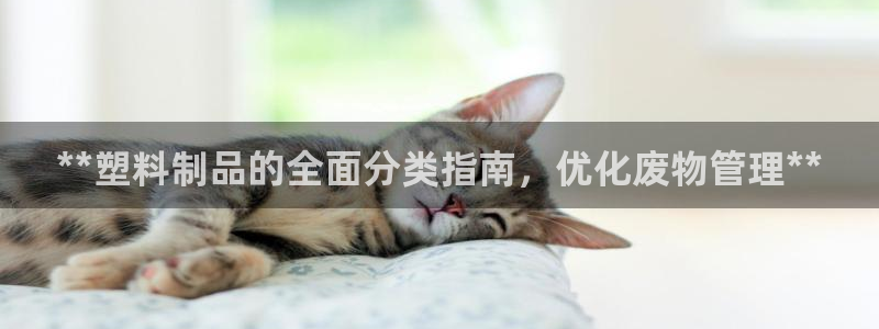 太阳老板身价：**塑料制品的全面分类指南，优化废物管理**