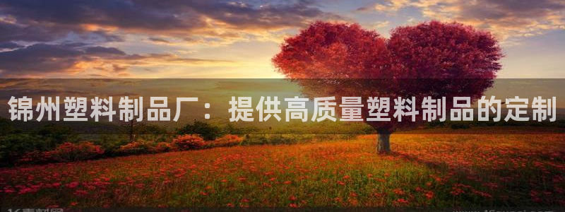 古天乐只有太阳能黑：锦州塑料制品厂：提供高质量塑料制品的定制