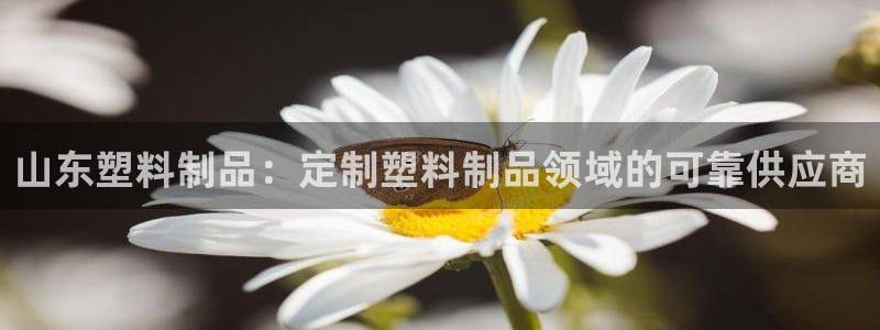 太阳集团城登录网址：山东塑料制品：定制塑料制品领域的可靠供应