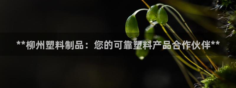 太阳成集团游戏：**柳州塑料制品：您的可靠塑料产品合作伙伴*