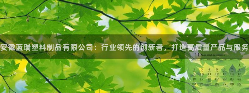 太阳集团tcy8722：安徽蓝瑞塑料制品有限公司：行业领先的