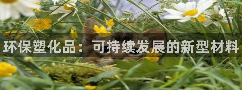 太阳科技集团：环保塑化品：可持续发展的新型材料