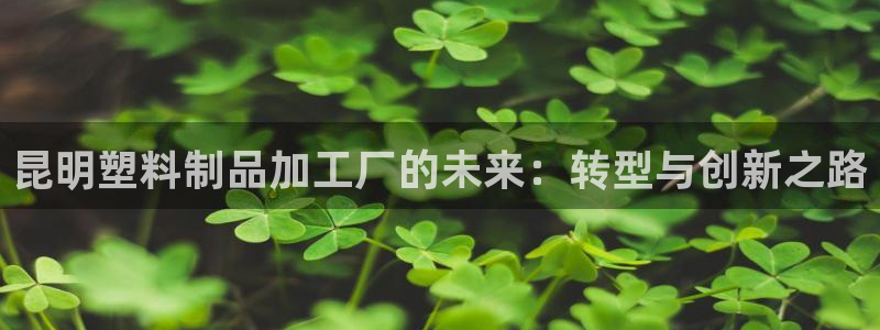 太阳集团官网导航下载：昆明塑料制品加工厂的未来：转型与创新之