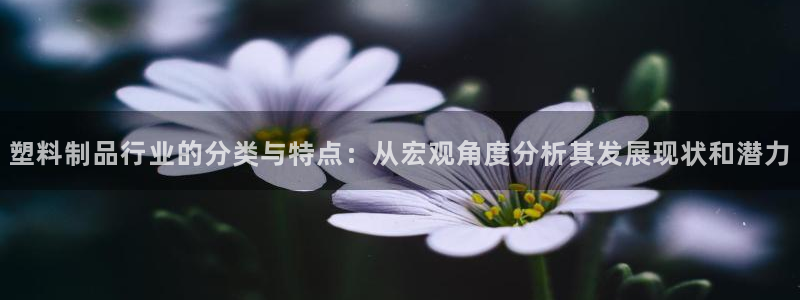 太阳集团在中国合法吗：塑料制品行业的分类与特点：从宏观角度分