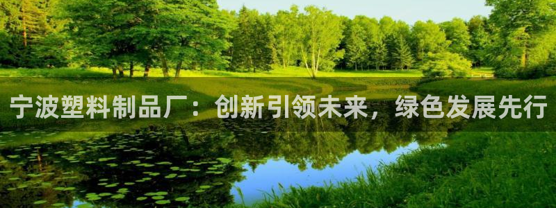 太阳集团游戏网址：宁波塑料制品厂：创新引领未来，绿色发展先行