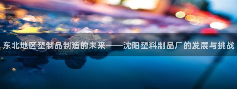 太阳阳城集团有限公司：东北地区塑制品制造的未来——沈阳塑料制