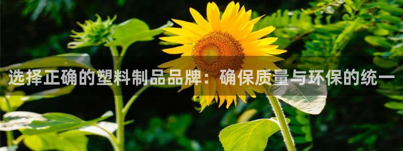 太阳集团所有网址16877官网：选择正确的塑料制品品牌：确保