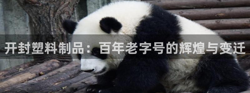 太阳集团城网官方入口：开封塑料制品：百年老字号的辉煌与变迁