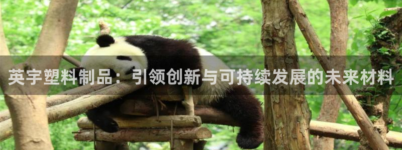 太阳集团娱乐所有网站app游戏优势：英宇塑料制品：引领创新与