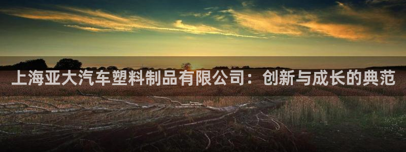 太阳成集团网站取款：上海亚大汽车塑料制品有限公司：创新与成长