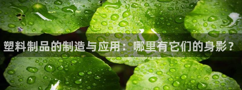 太阳集团游戏城新版138：塑料制品的制造与应用：哪里有它们的