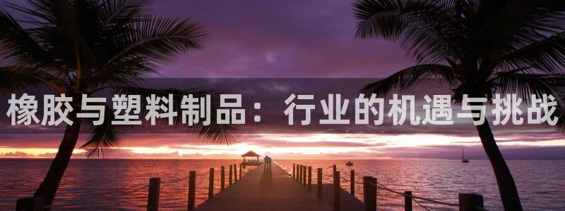 太阳集团的法人代表：橡胶与塑料制品：行业的机遇与挑战