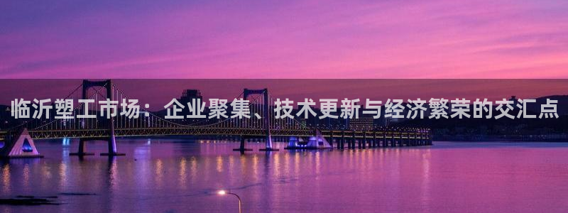 太阳集团公司董事长：临沂塑工市场：企业聚集、技术更新与经济繁