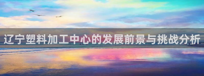 太阳集团公司董事长：辽宁塑料加工中心的发展前景与挑战分析