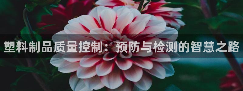 太阳游戏盒子：塑料制品质量控制：预防与检测的智慧之路