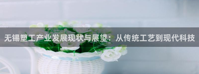 太阳集团城：无锡塑工产业发展现状与展望：从传统工艺到现代科技