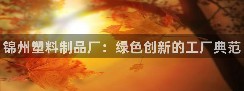 太阳app苹果下载地址：锦州塑料制品厂：绿色创新的工厂典范