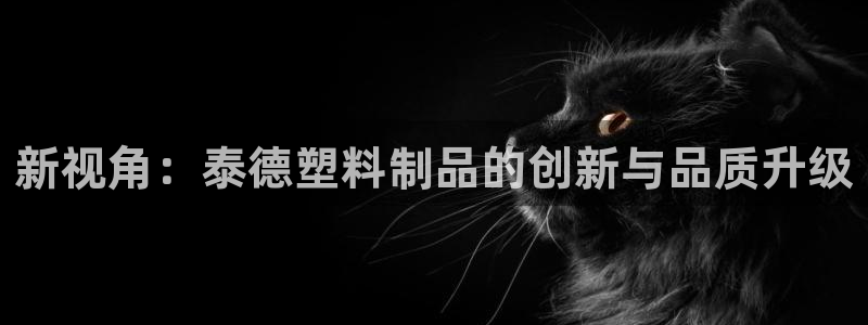 太阳集团sungroup：新视角：泰德塑料制品的创新与品质升