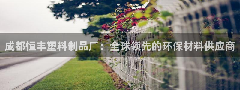 太阳成集团tyc33455cc官网：成都恒丰塑料制品厂：全球