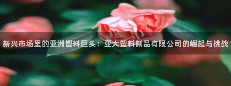 太阳gg官方网站：新兴市场里的亚洲塑料巨头：亚大塑料制品有限