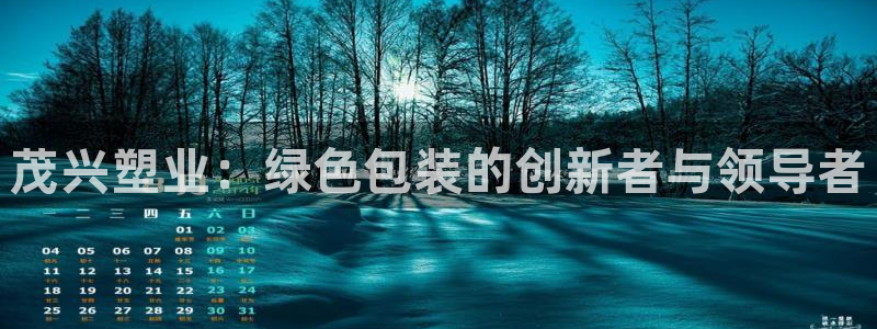 太阳成集团控股买购网：茂兴塑业：绿色包装的创新者与领导者