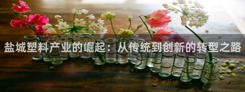 太阳集团sungroup：盐城塑料产业的崛起：从传统到创新的