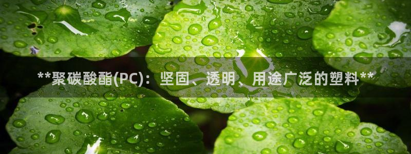 太阳成集团lougo图片