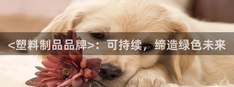太阳电竞