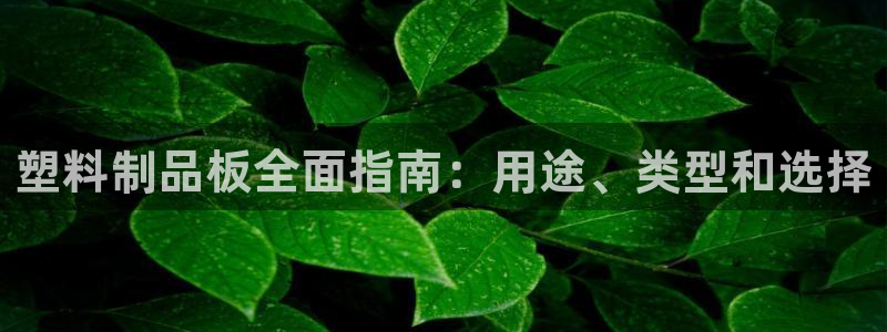 太阳集团网站5017