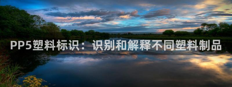 太阳诚集团有限公司怎么样