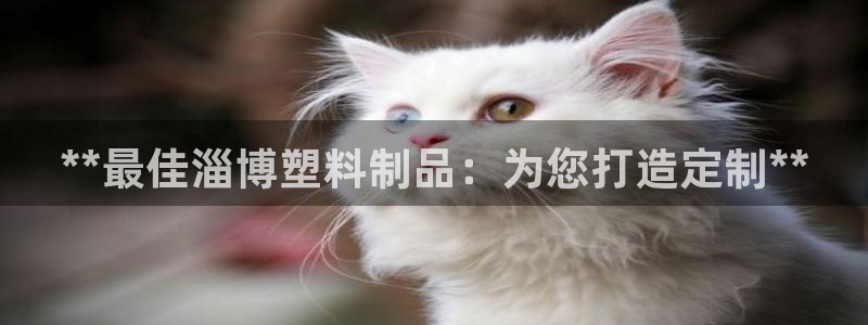 太阳app安卓版