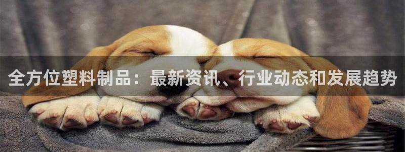 太阳集团网站5017