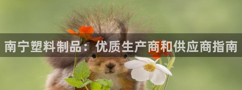 太阳集团官网导航首页