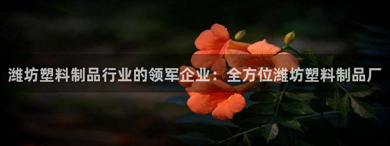 太阳集团城网