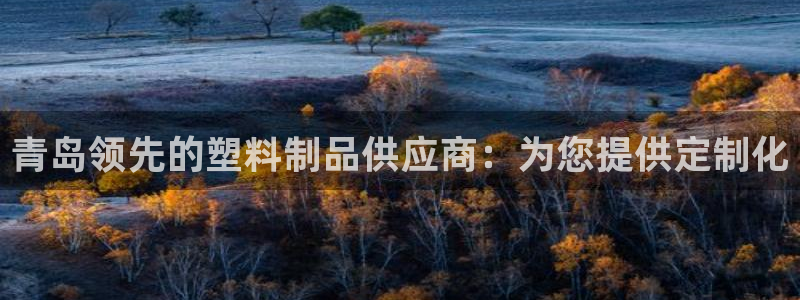 太阳集团是什么平台?