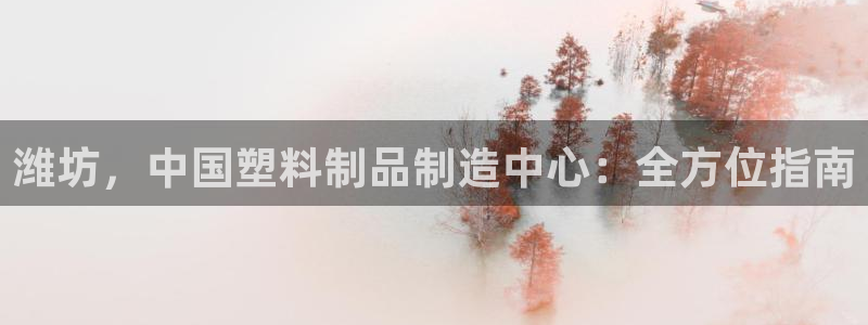 太阳集团市值